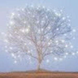 Meet your Posher, Desiree